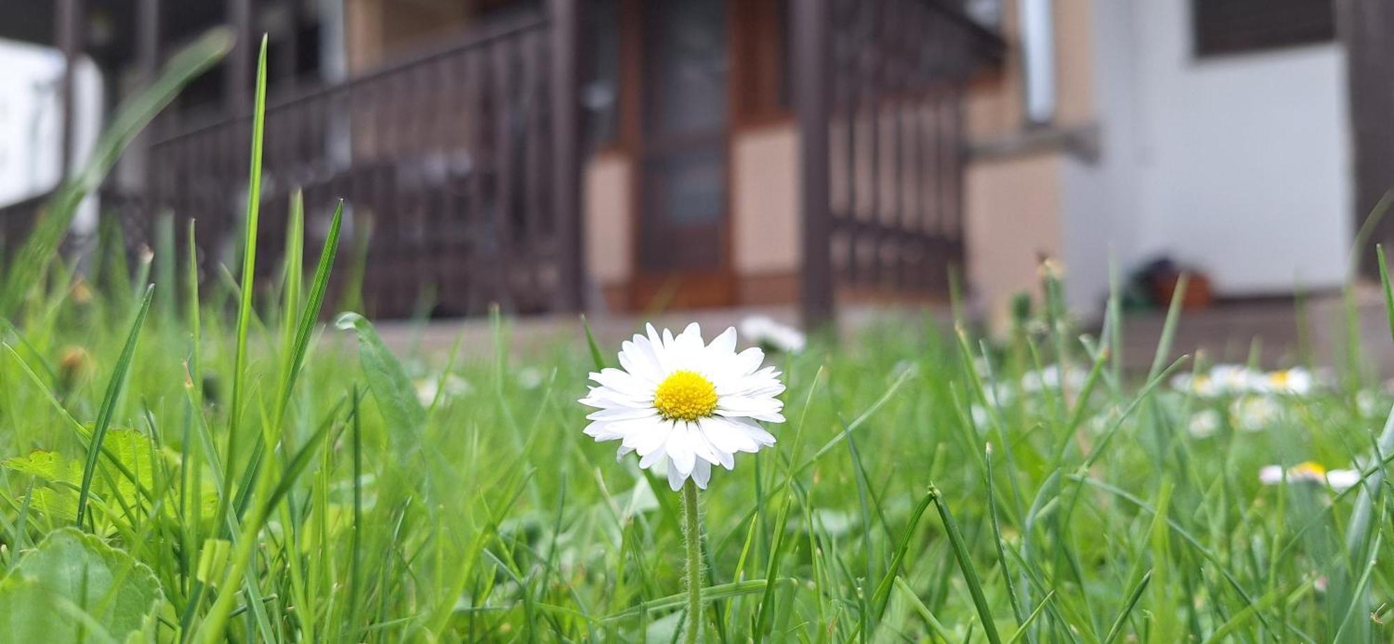 For You Apartman Jula Exterior foto